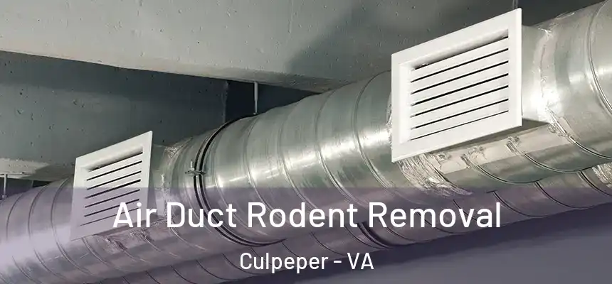  Air Duct Rodent Removal Culpeper - VA