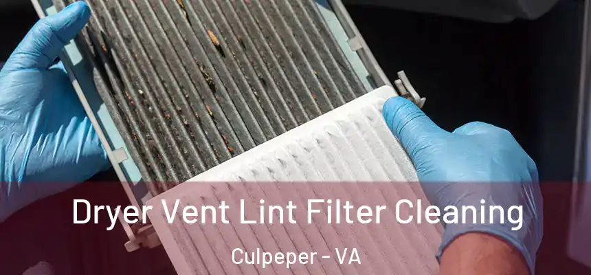 Dryer Vent Lint Filter Cleaning Culpeper - VA