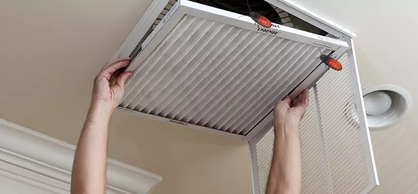 Preventive Cockroach-Proofing for Ducts in Culpeper