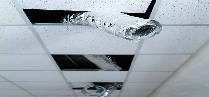 Affordable HVAC Sanitizing After Pest Removal in Culpeper