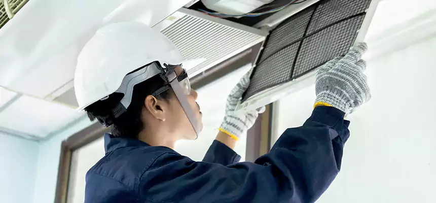 Our Mold & Mildew Removal from Air Ducts Services in Culpeper, VA