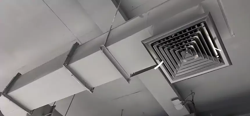 Our Pest Removal From Ducts Services in Culpeper, VA