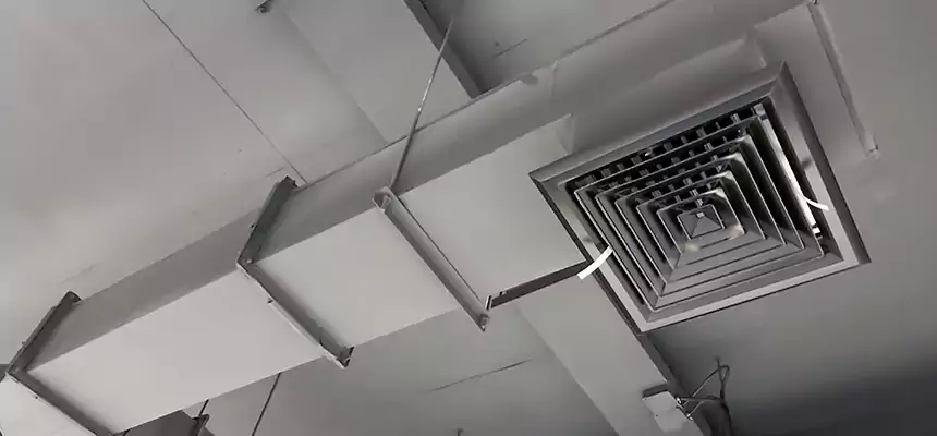 Our Rodent Droppings In Vents Services in Culpeper, VA