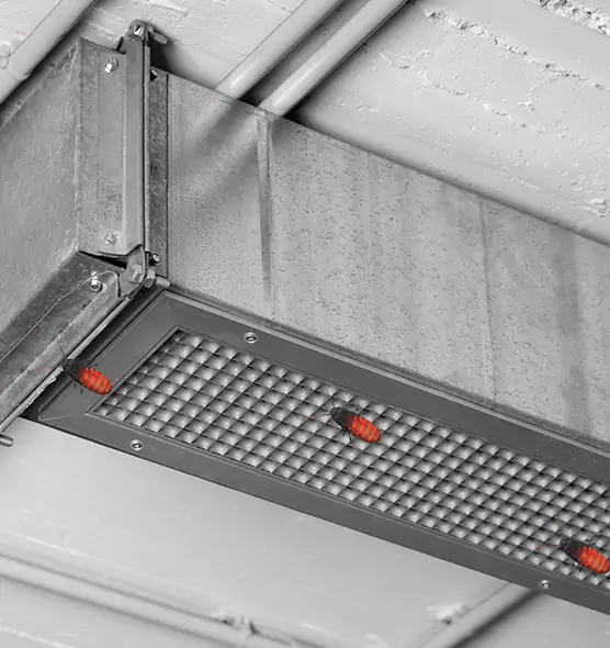 About Air Duct Cockroach Removal in Culpeper, VA