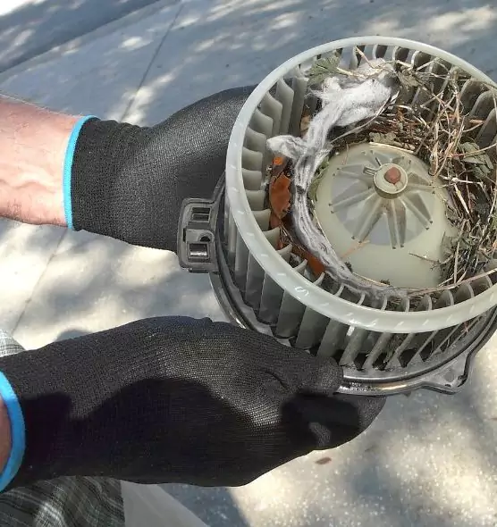 About Air Duct Mice Removal in Culpeper, VA