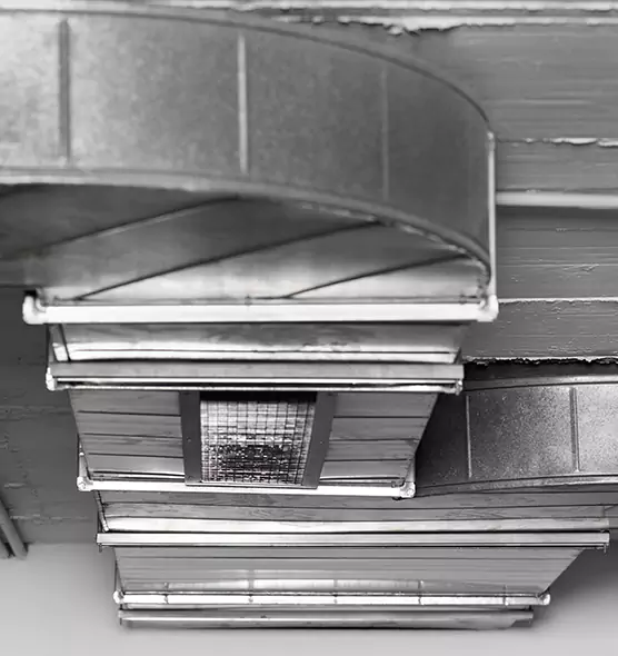 Professional Air Duct Pet Hair Removal in Culpeper, VA