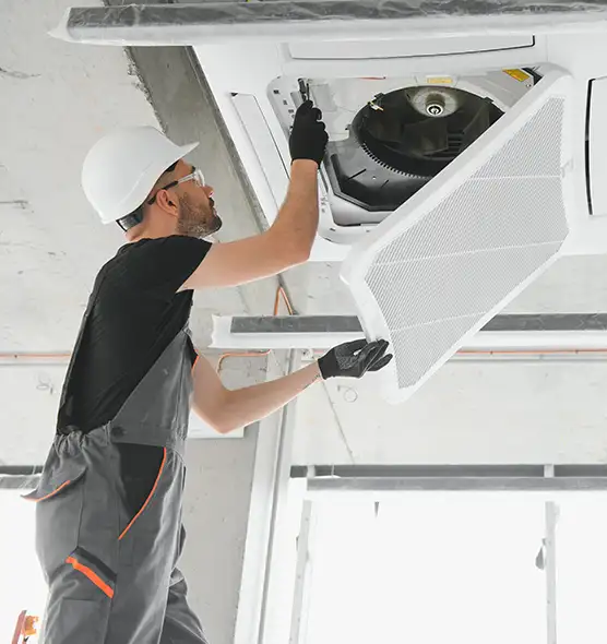 About Air Duct Rodent Removal in Culpeper, VA