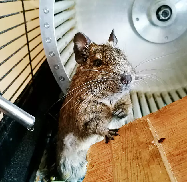 Why Homeowners & Businesses Trust Us Culpeper, VA