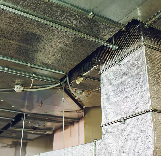 Why Homeowners & Businesses Trust Us in Culpeper, VA?